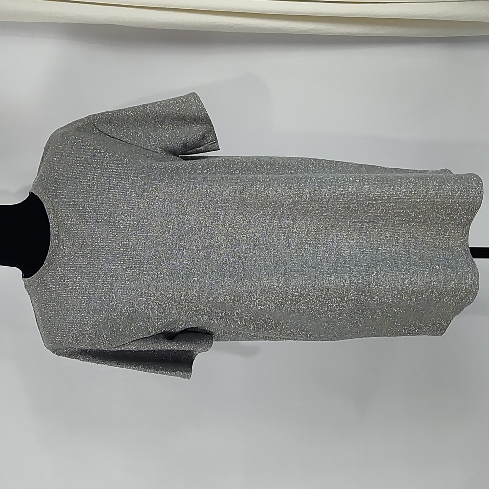 Zara Metallic Tunic